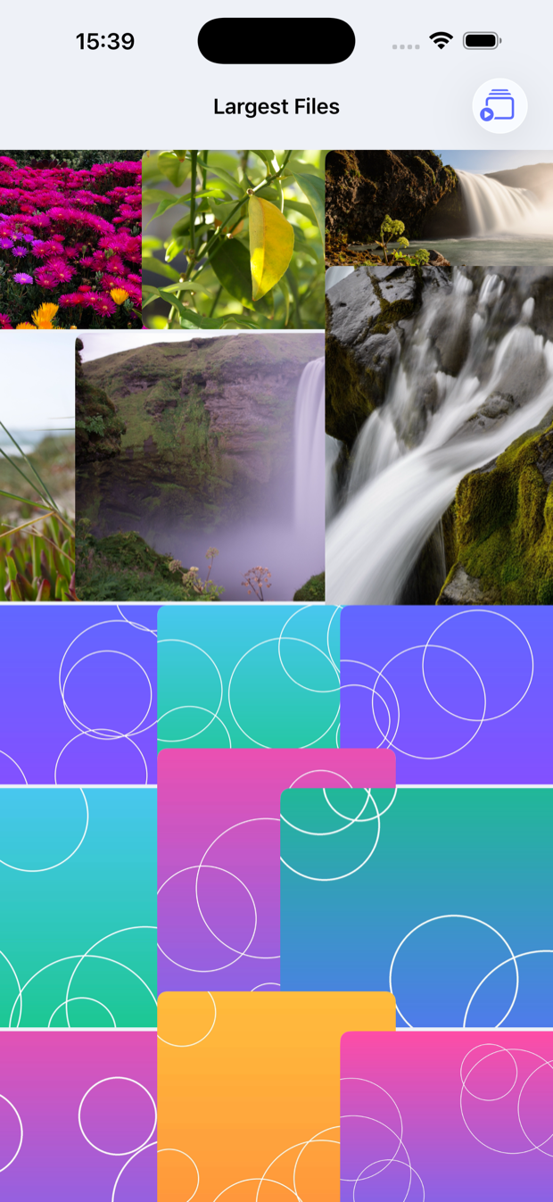 Reviewing the largest files in a grid
